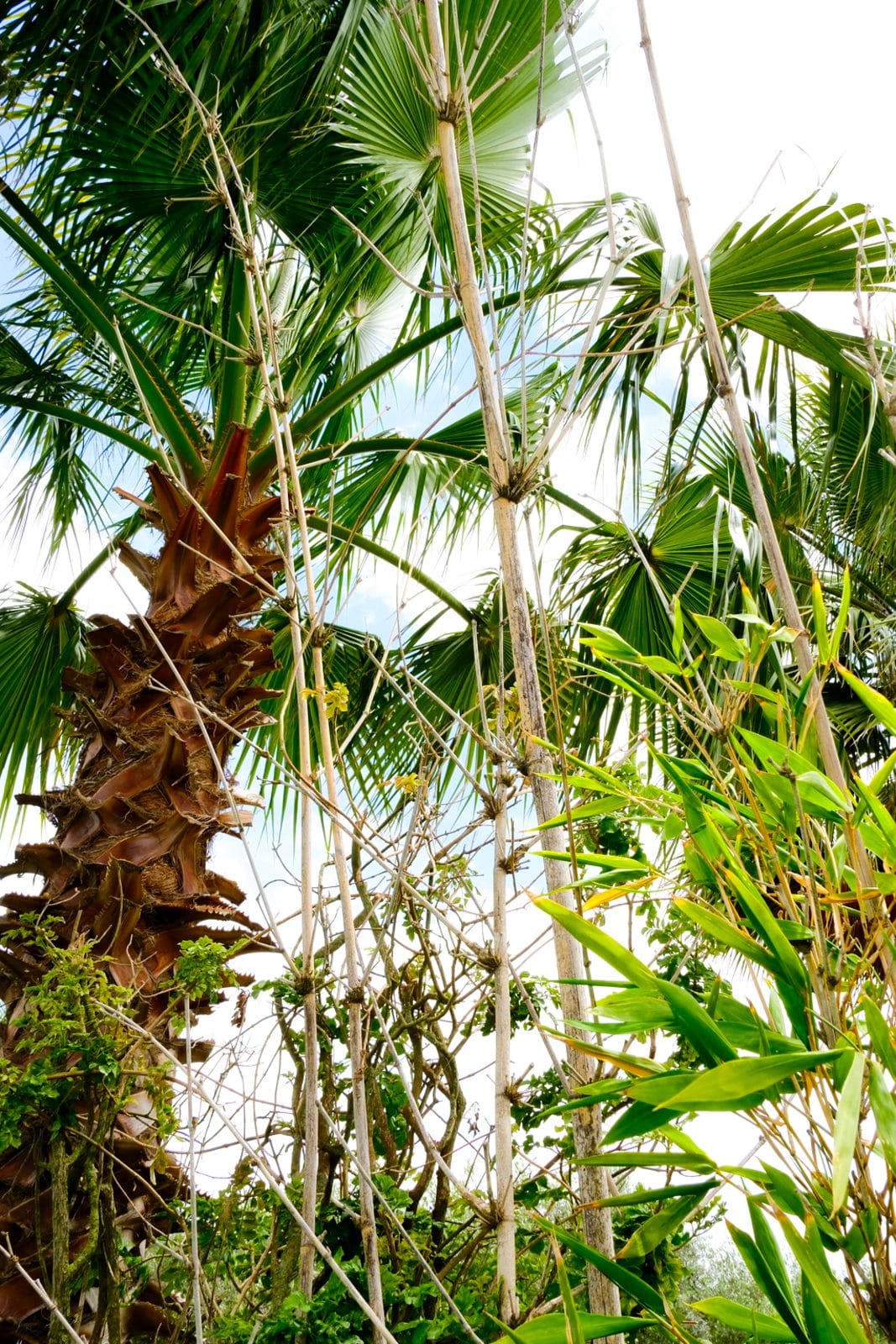 Jardin et nature à Farm Eden, ferme avec piscine privée près de Rabat