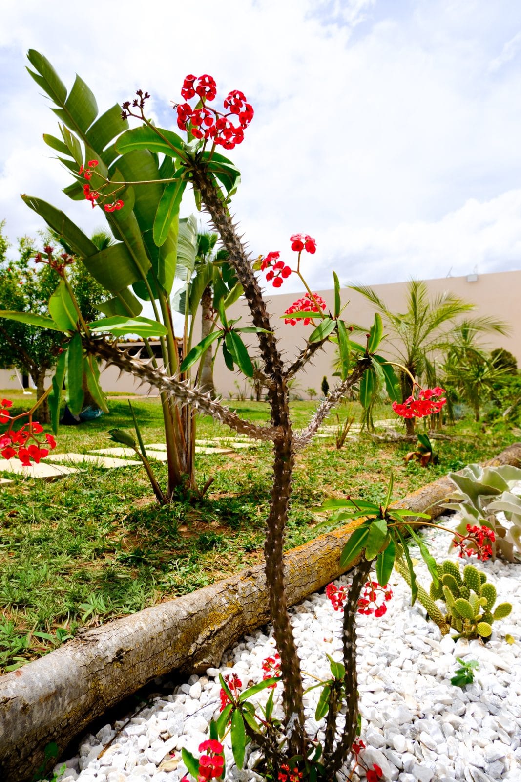 Jardin et nature à Farm Eden, ferme avec piscine privée près de Rabat