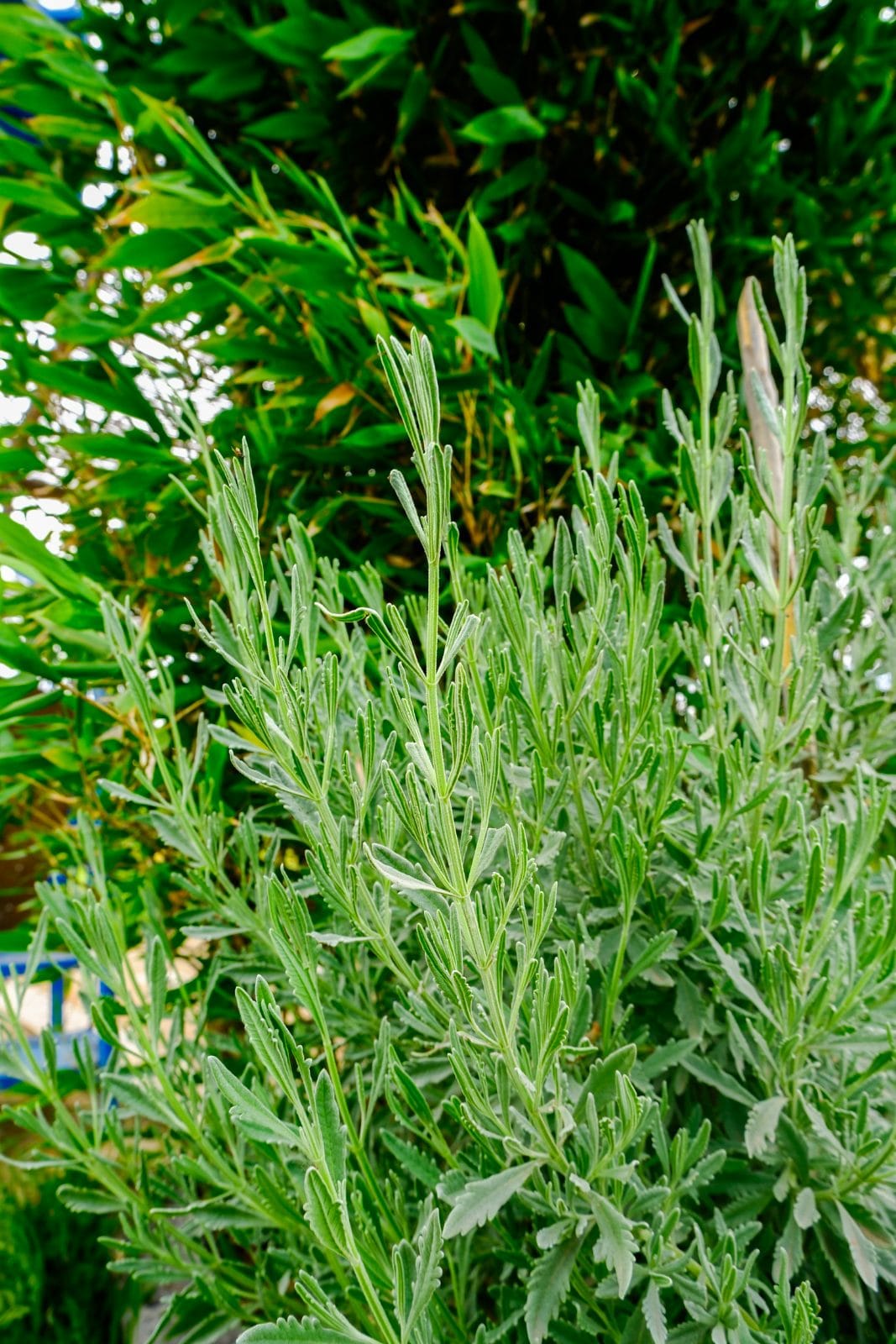 Jardin et nature à Farm Eden, ferme avec piscine privée près de Rabat