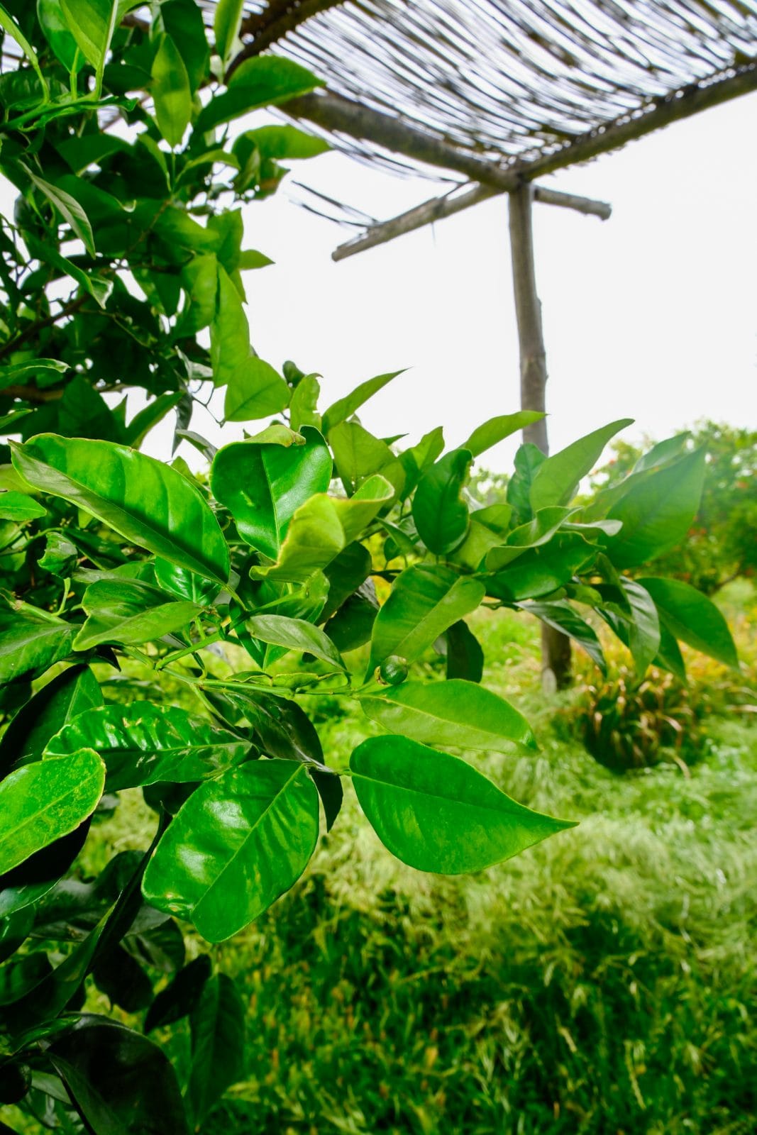 Jardin et nature à Farm Eden, ferme avec piscine privée près de Rabat