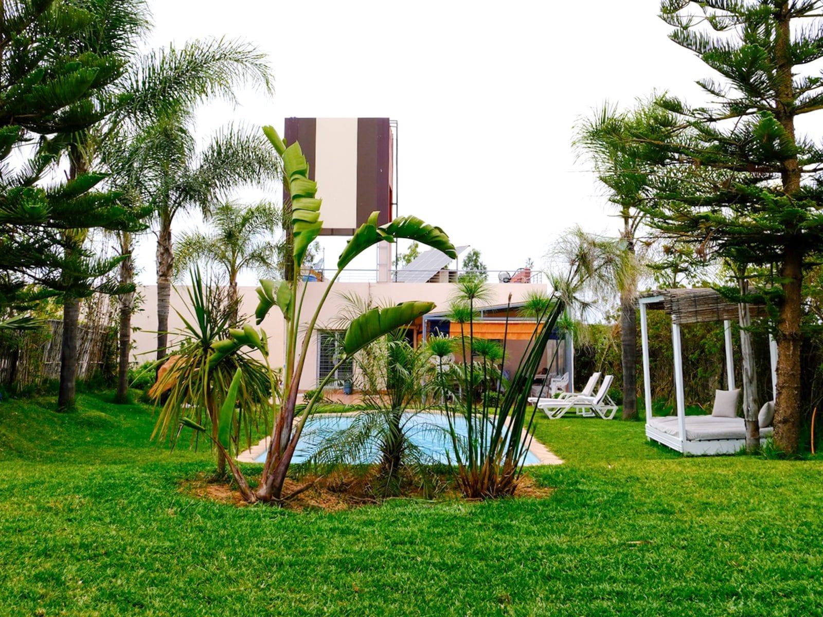 Piscine privée entourée de palmiers