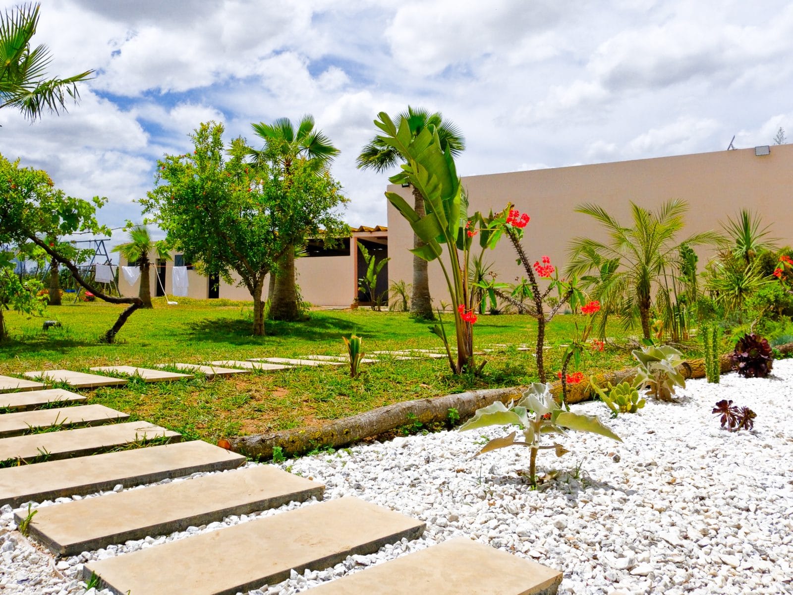 Allée dallée dans le jardin tropical
